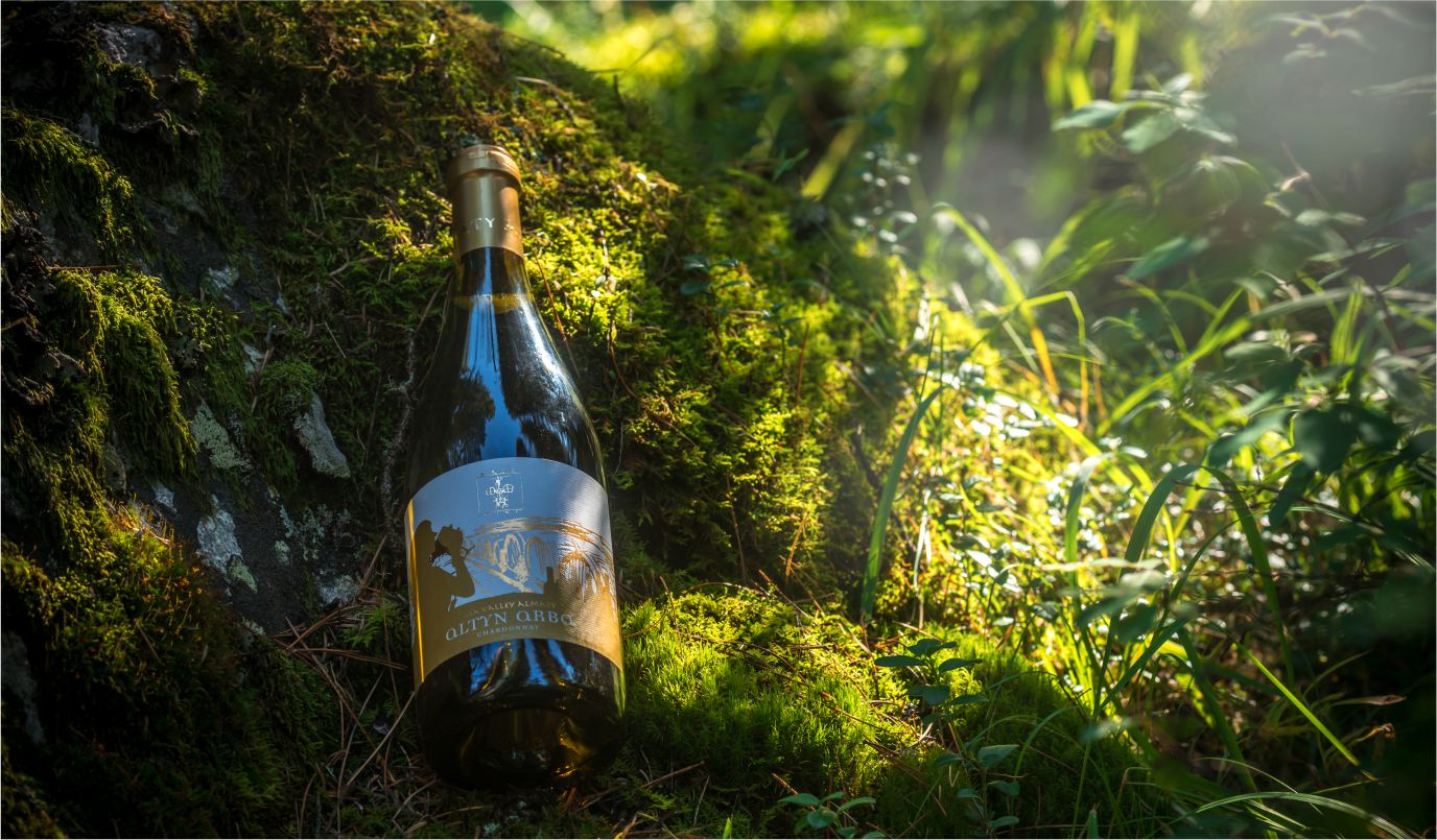How to understand wine