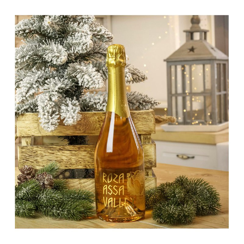 How to choose wine for a feast, so that the holiday is fun and good.