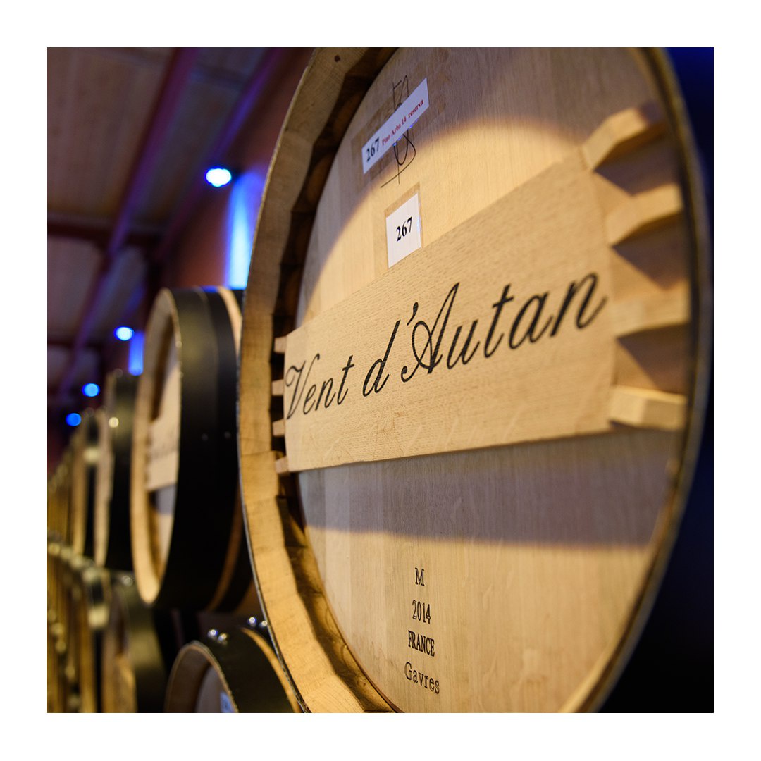 We purchase barrels for wine aging from well-known French and Italian manufacturers.