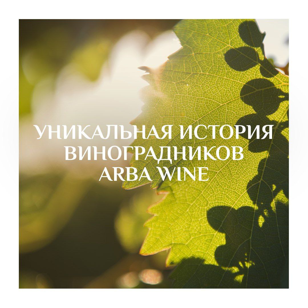 The unique history of Arba Wine vineyards.