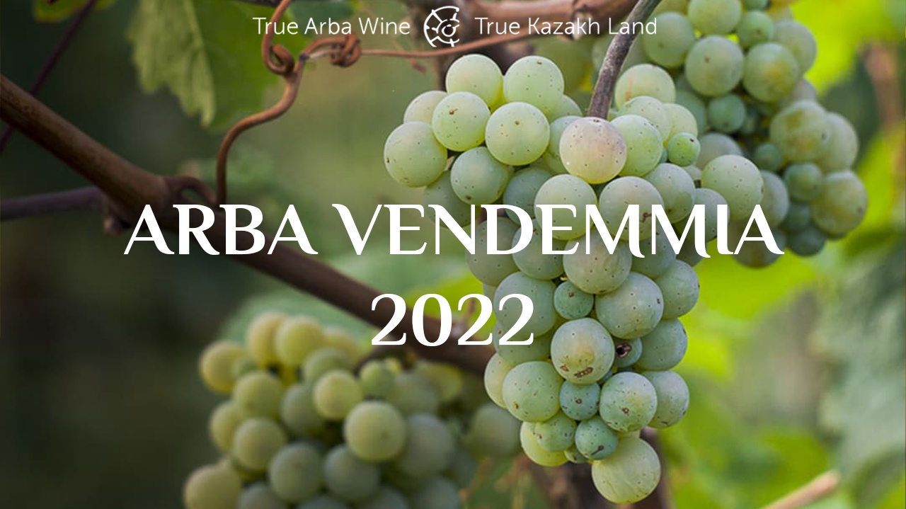 We announce the start of sales of Arba Wine Futures Vendemmia 2022 contracts!