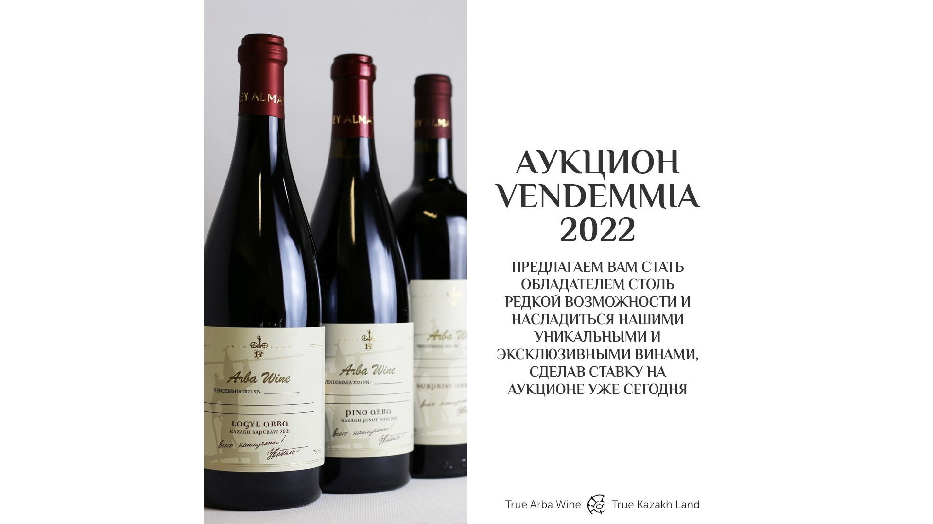 Auction Vendemmia 2021!