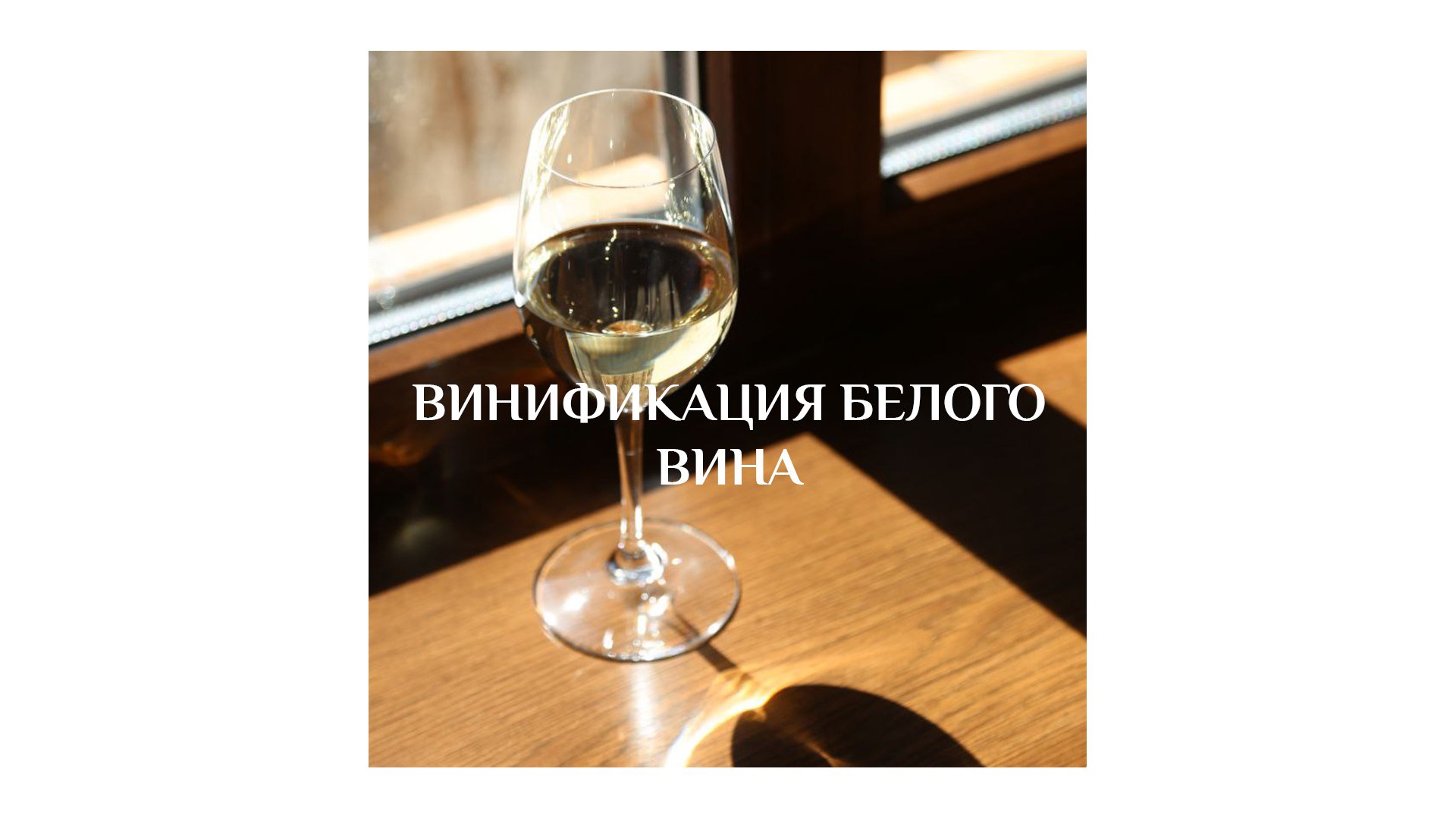 Vinification of white wine
