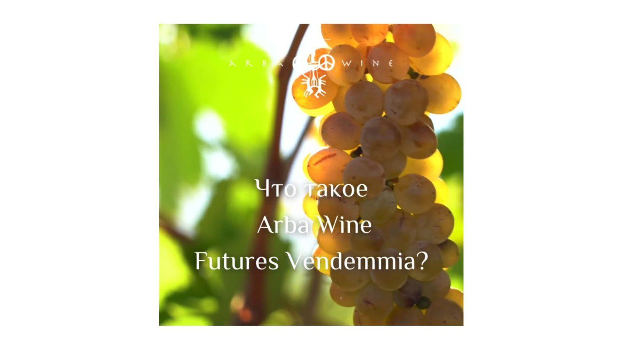What is Arba Wine Futures Vendemmia 2022?