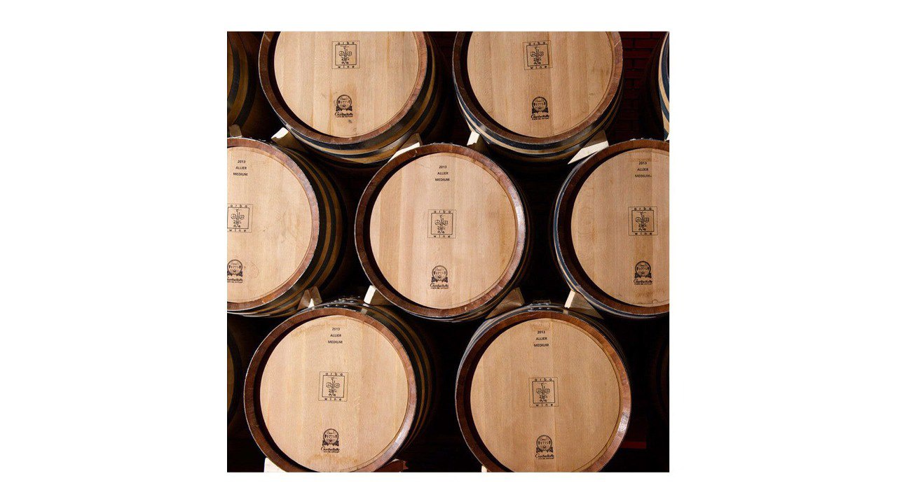 Wine cellar and its features