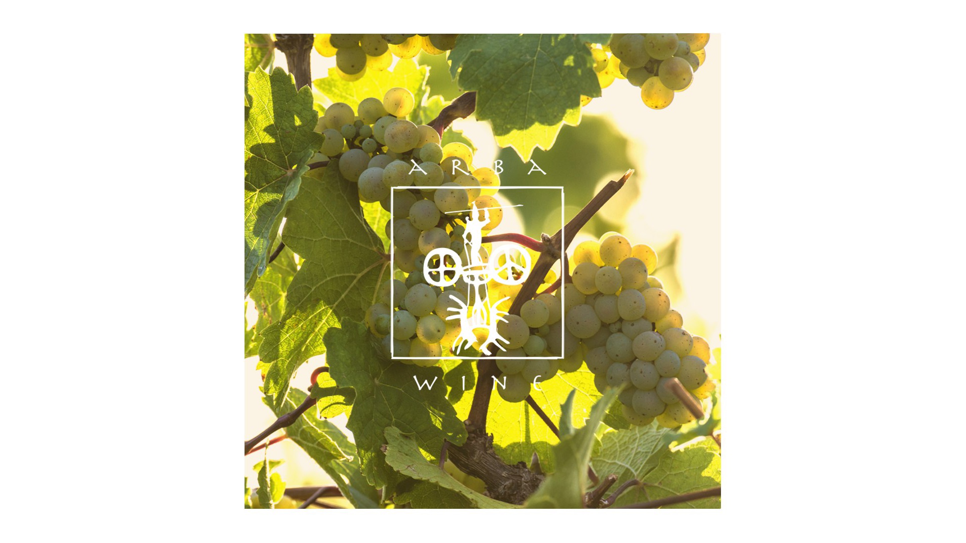 Arba Wine Terroir is our unique land!