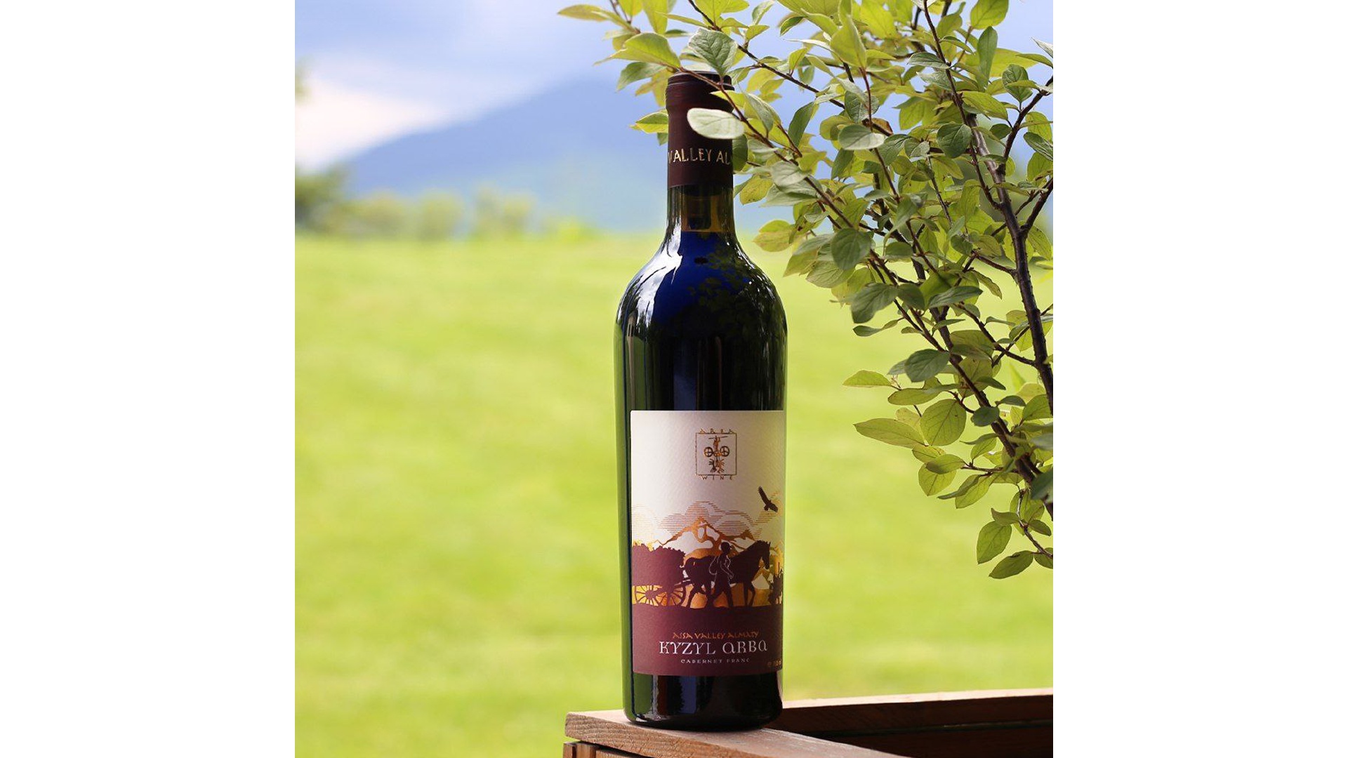 For those who are looking for aroma in wine...