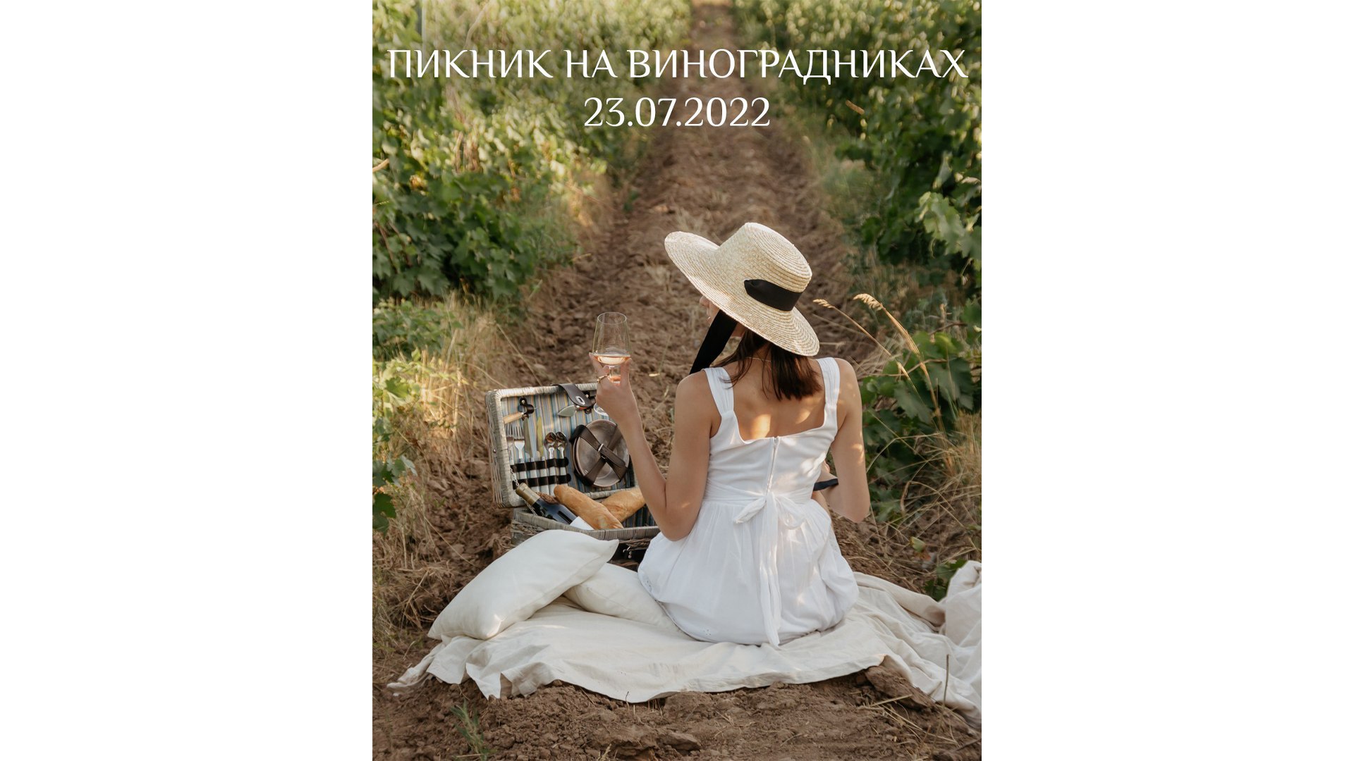 Picnic in the vineyards on July 23!