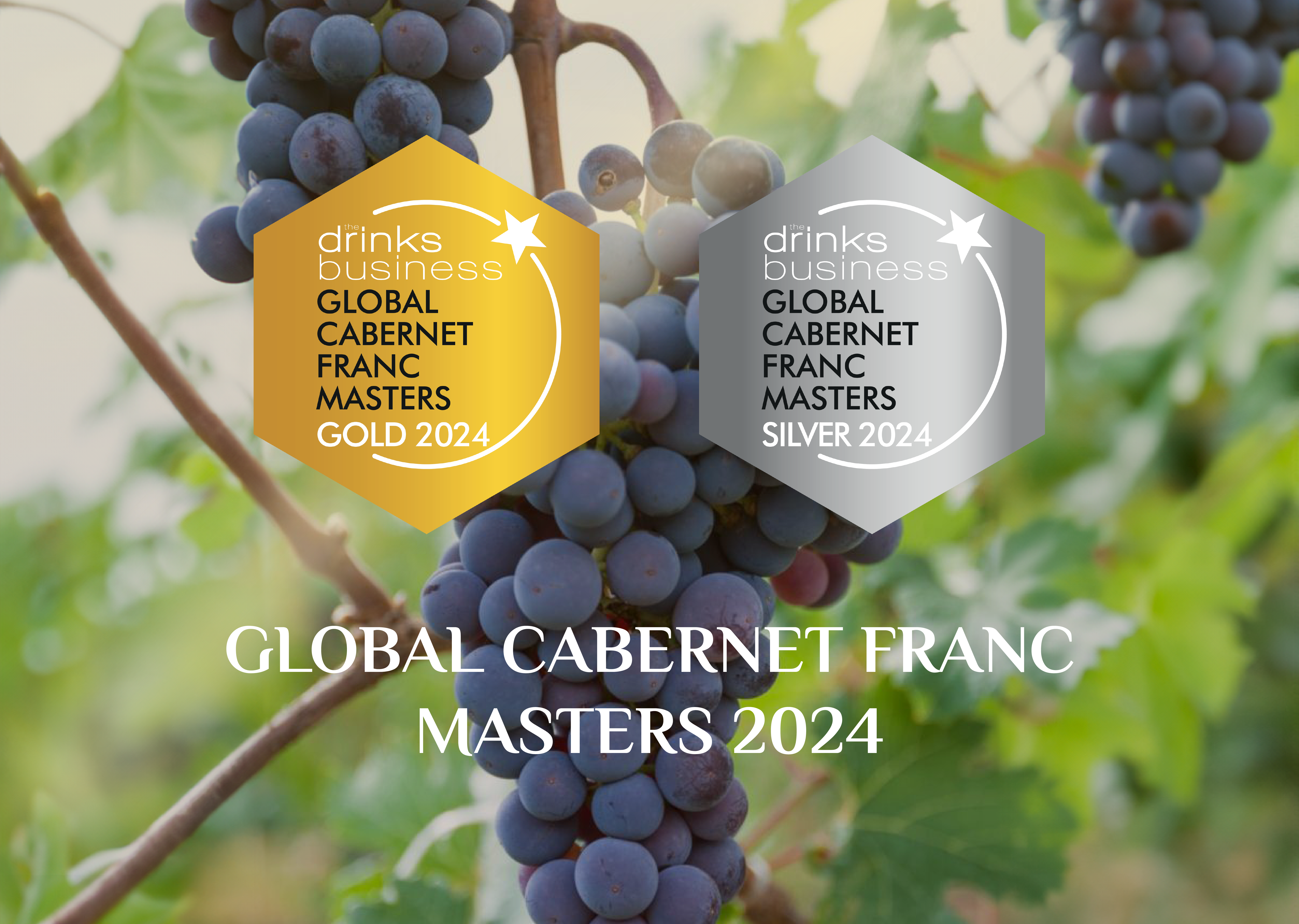 Arba Wine Cabernet Franc wines received a gold and two silver medals at the prestigious Global Cabernet Franc Masters 2024 competition in the UK!