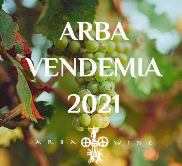 Vendemia 2021.